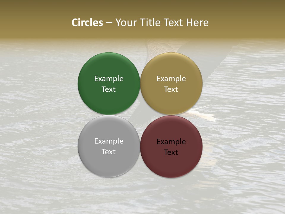 Fishing Bird Fish PowerPoint Template