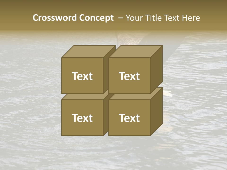 Fishing Bird Fish PowerPoint Template