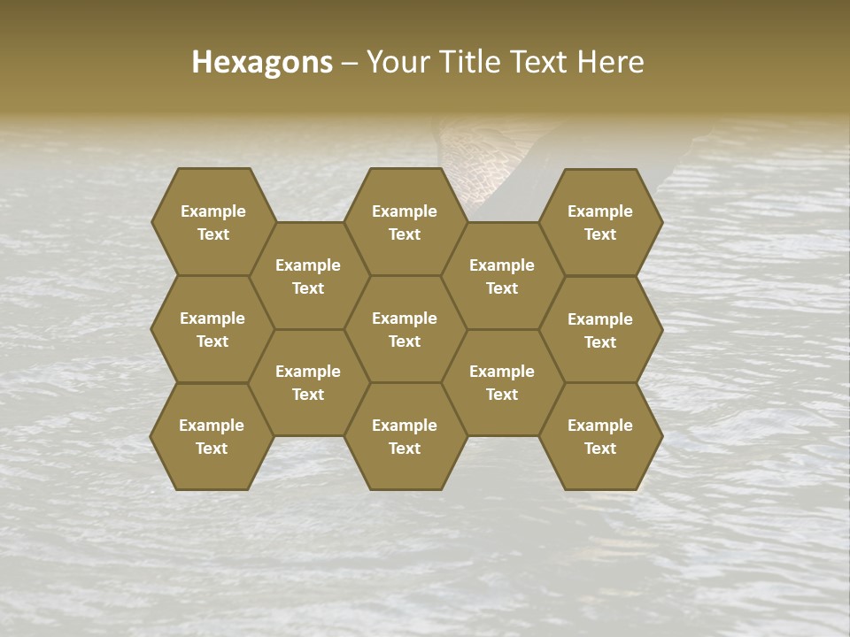 Fishing Bird Fish PowerPoint Template