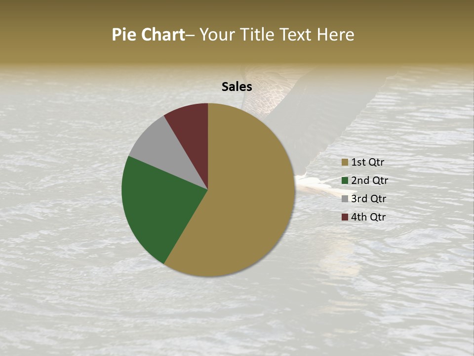 Fishing Bird Fish PowerPoint Template