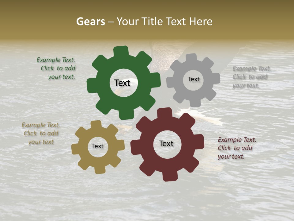 Fishing Bird Fish PowerPoint Template