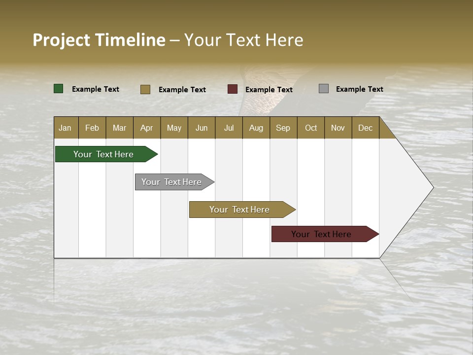Fishing Bird Fish PowerPoint Template