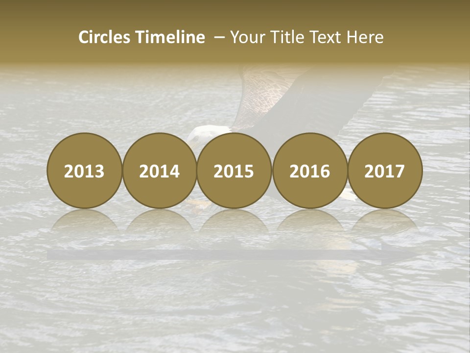 Fishing Bird Fish PowerPoint Template