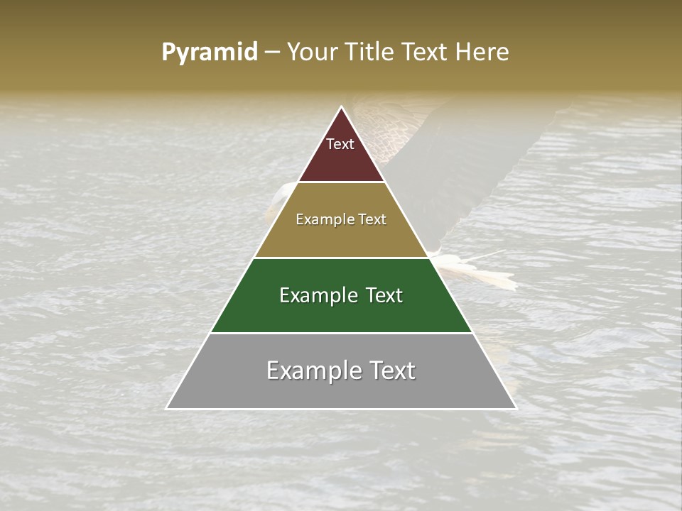 Fishing Bird Fish PowerPoint Template