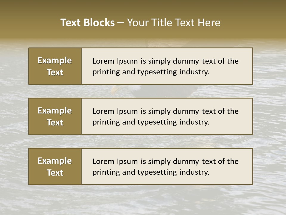 Fishing Bird Fish PowerPoint Template