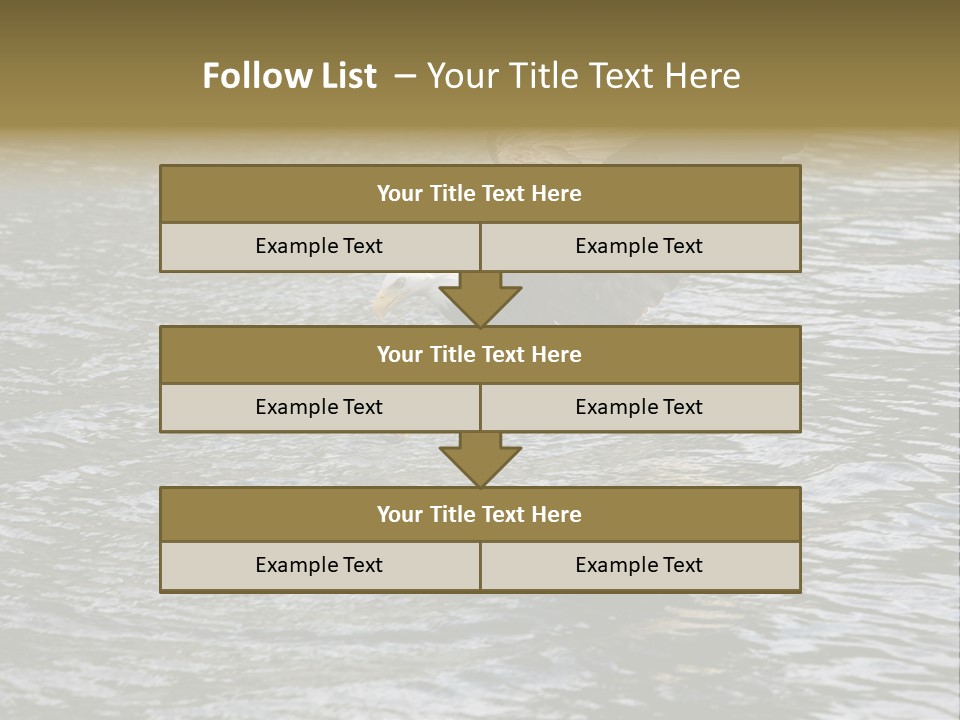 Fishing Bird Fish PowerPoint Template