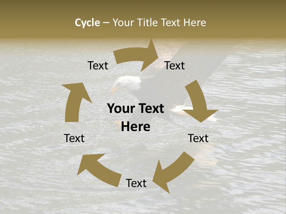 Fishing Bird Fish PowerPoint Template