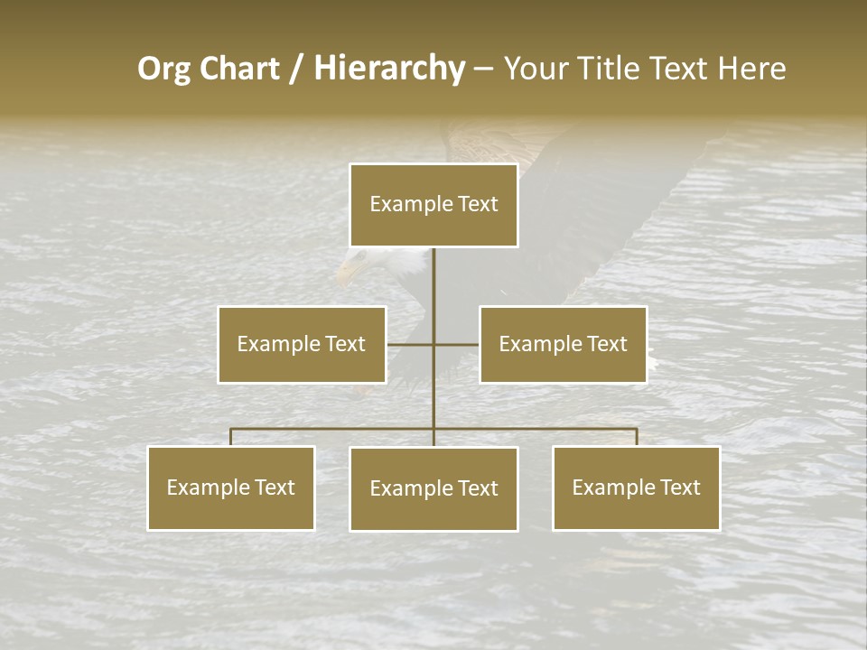 Fishing Bird Fish PowerPoint Template