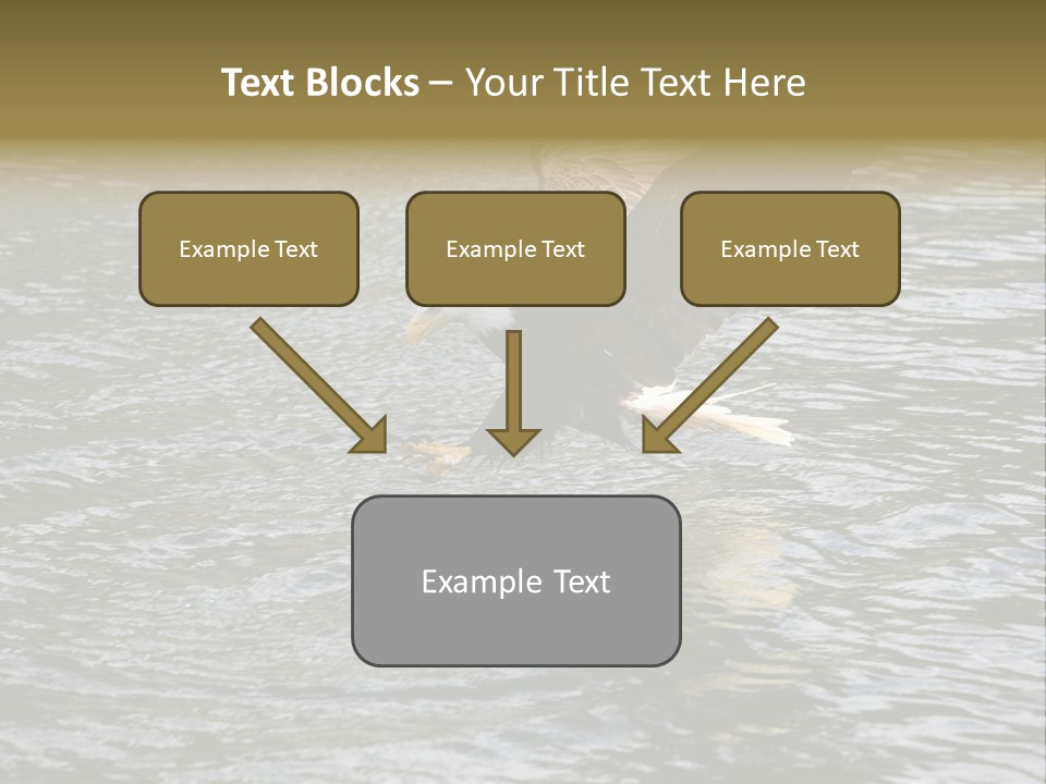 Fishing Bird Fish PowerPoint Template