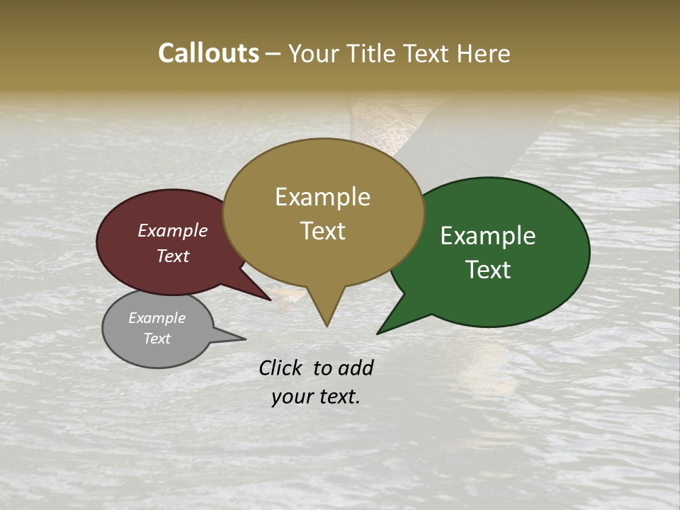 Fishing Bird Fish PowerPoint Template