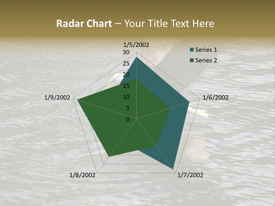 Fishing Bird Fish PowerPoint Template