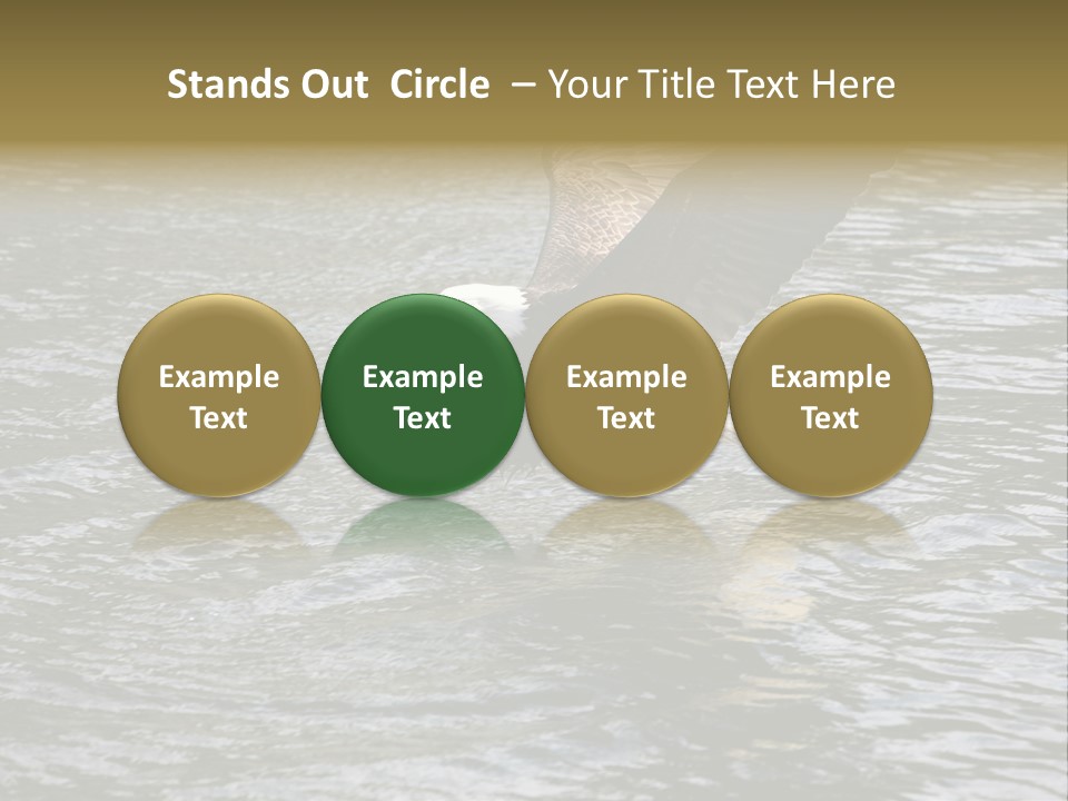 Fishing Bird Fish PowerPoint Template