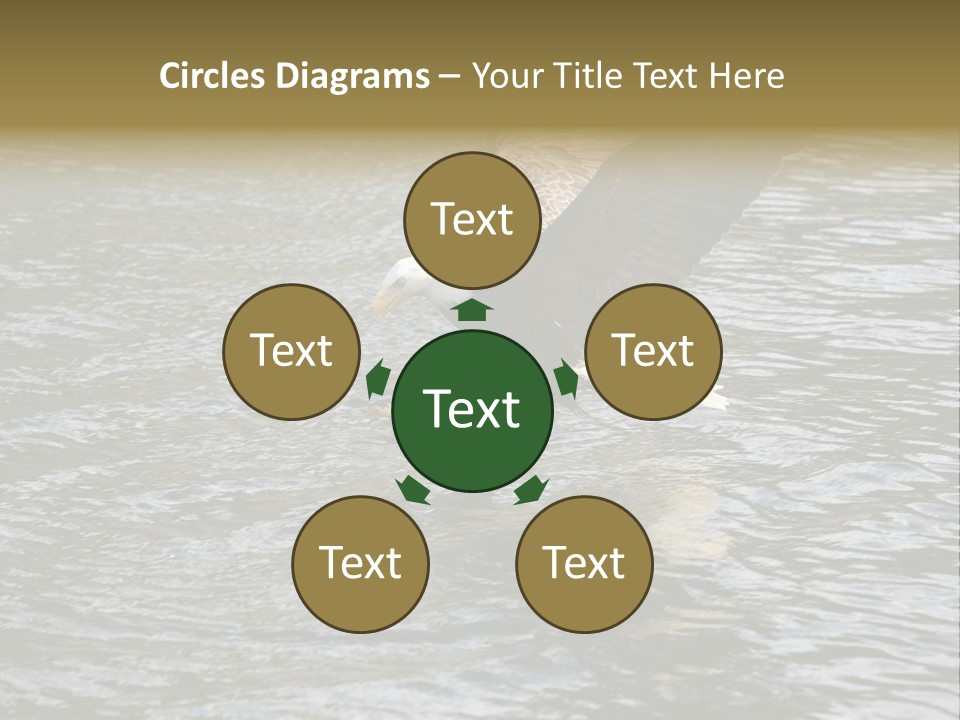 Fishing Bird Fish PowerPoint Template