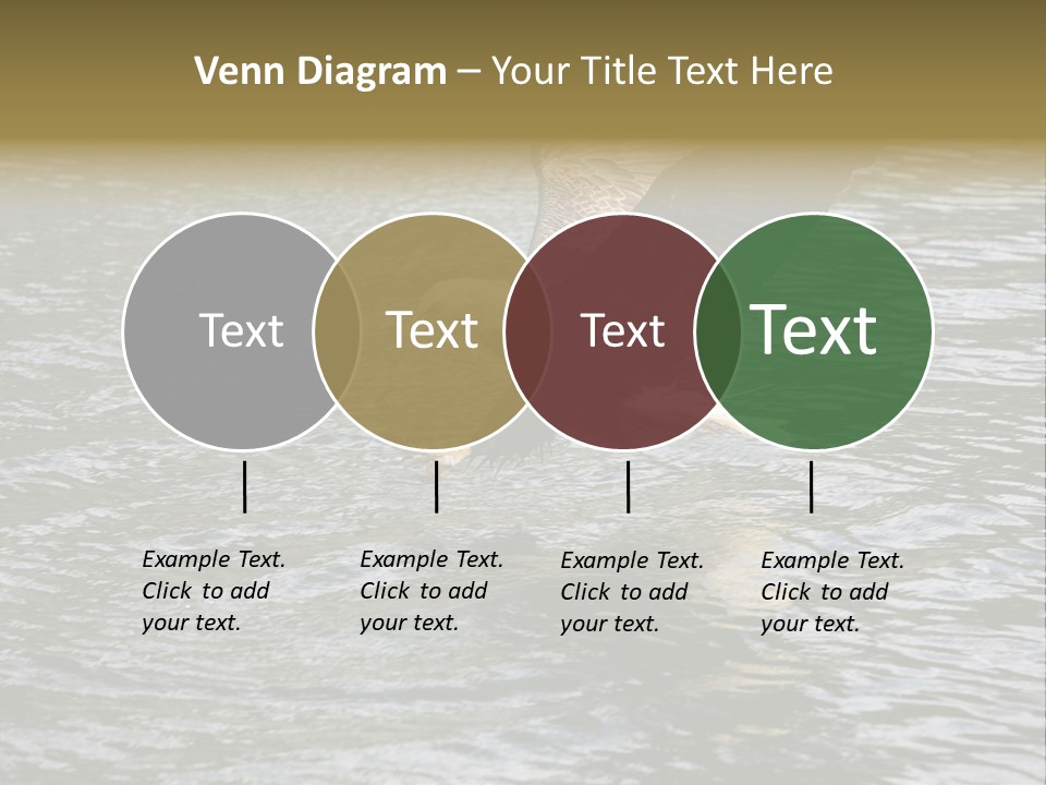 Fishing Bird Fish PowerPoint Template