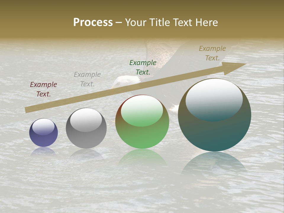 Fishing Bird Fish PowerPoint Template