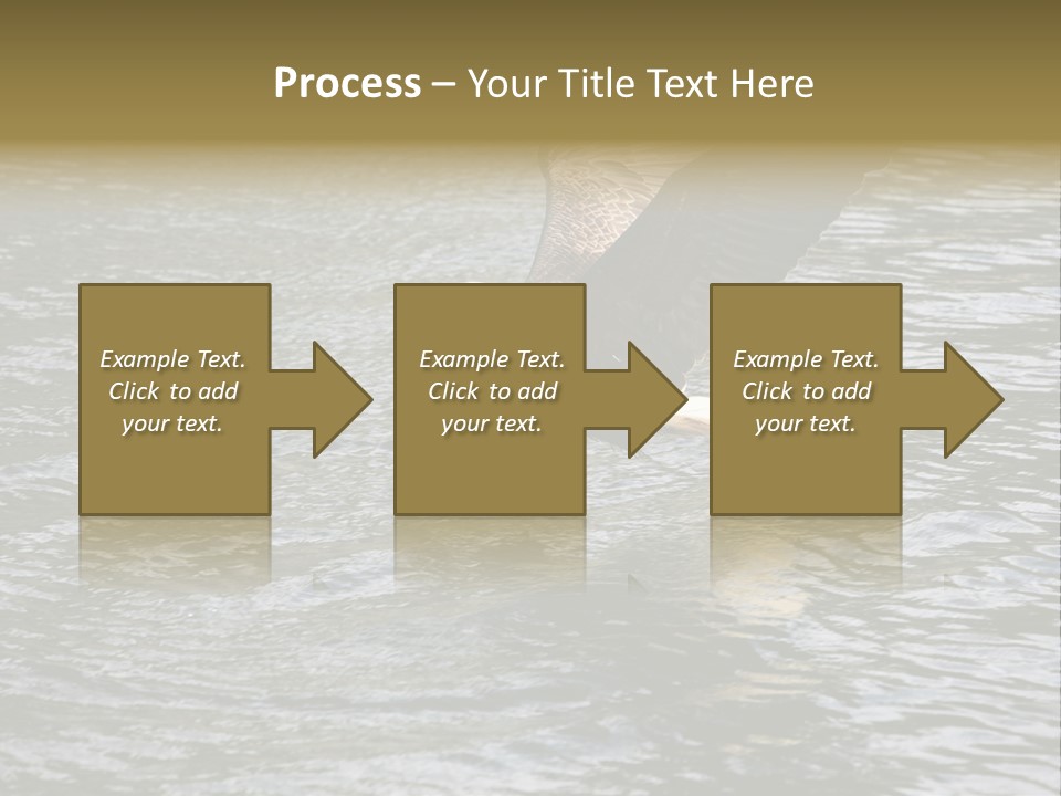 Fishing Bird Fish PowerPoint Template