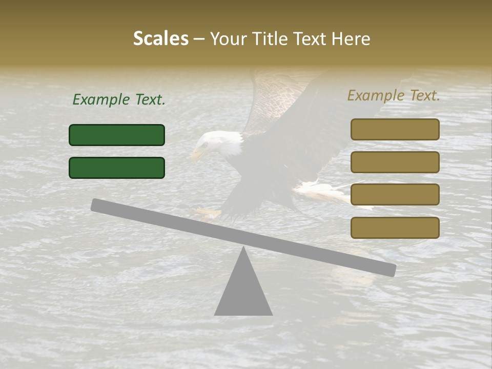 Fishing Bird Fish PowerPoint Template