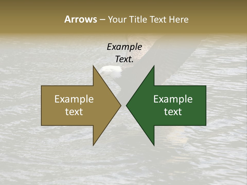 Fishing Bird Fish PowerPoint Template