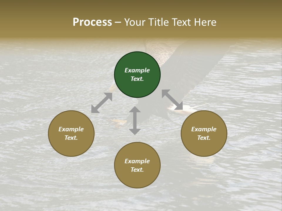 Fishing Bird Fish PowerPoint Template