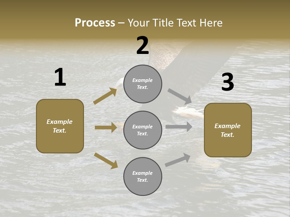 Fishing Bird Fish PowerPoint Template
