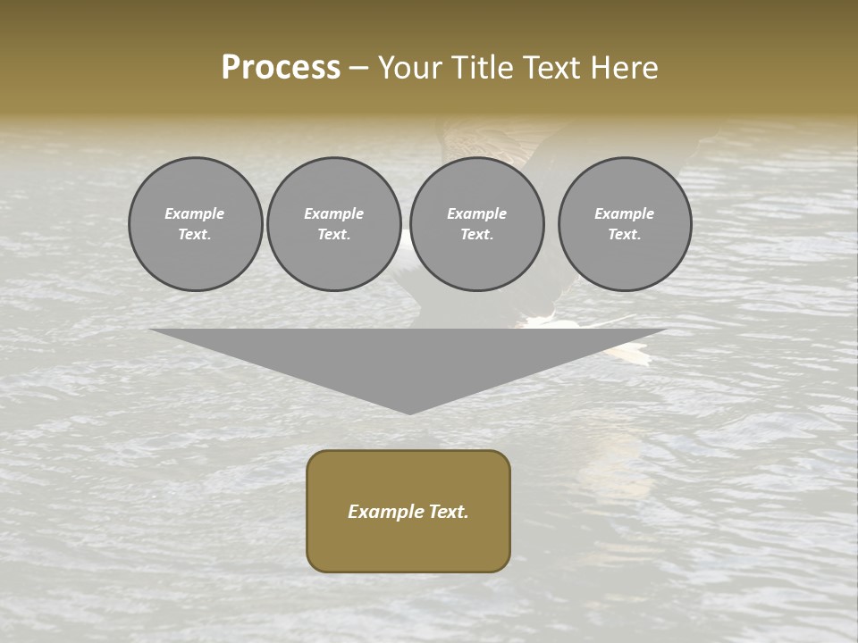 Fishing Bird Fish PowerPoint Template