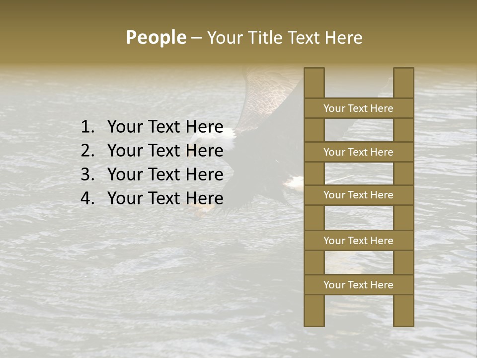 Fishing Bird Fish PowerPoint Template