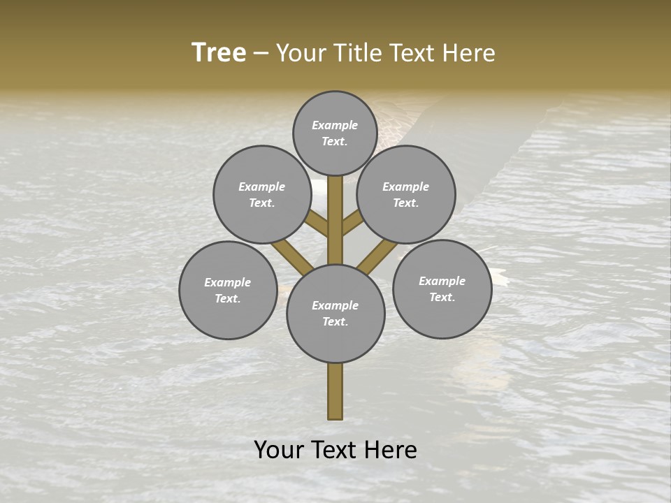 Fishing Bird Fish PowerPoint Template