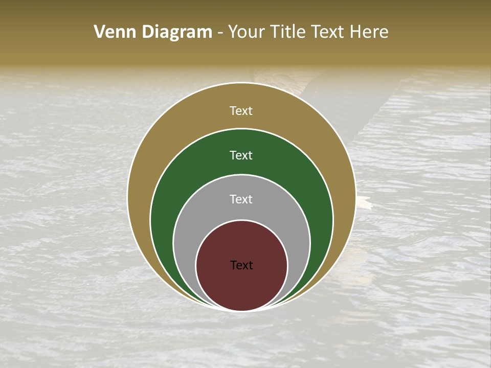 Fishing Bird Fish PowerPoint Template