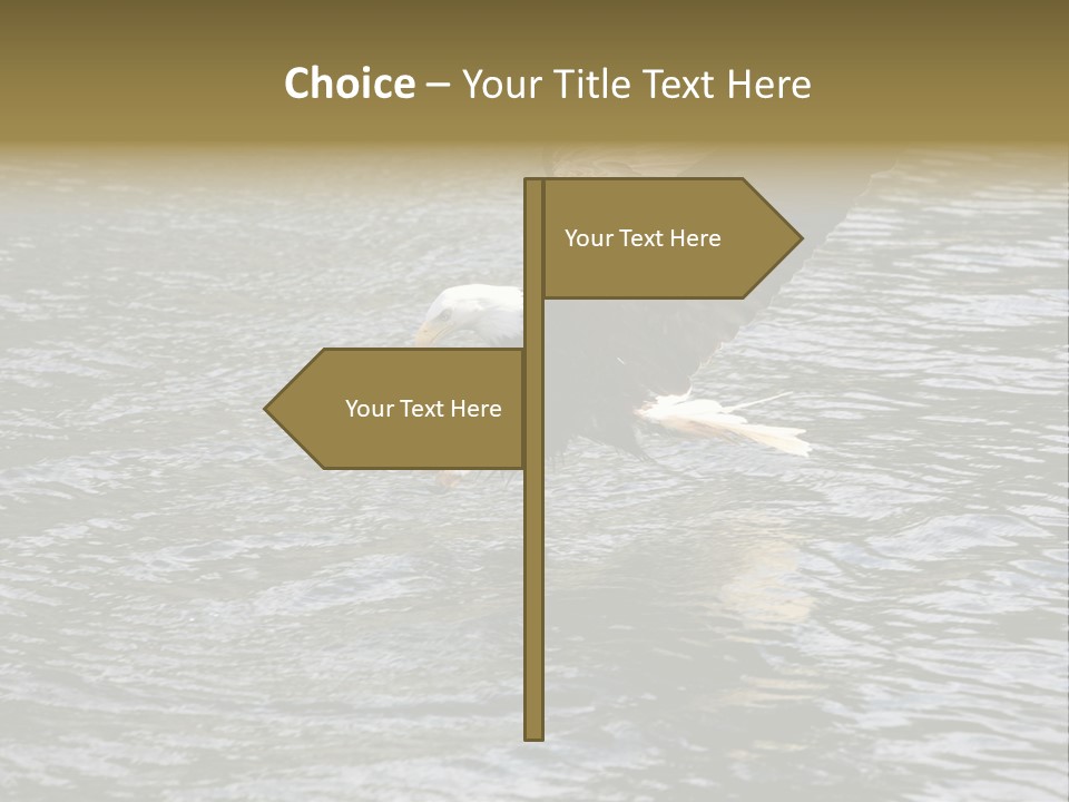 Fishing Bird Fish PowerPoint Template