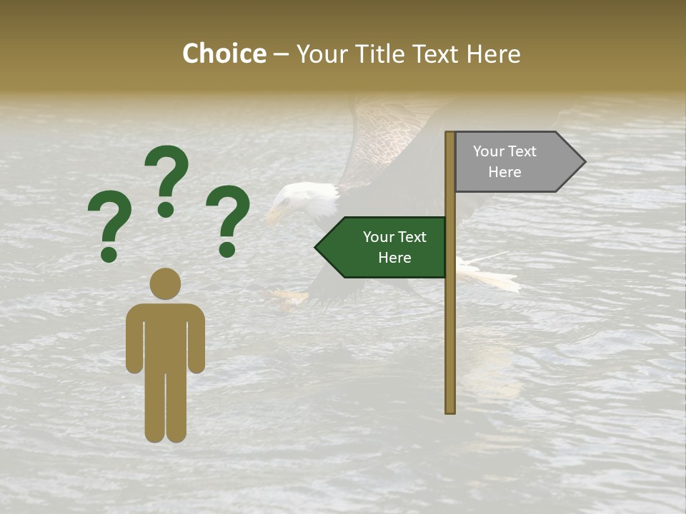 Fishing Bird Fish PowerPoint Template