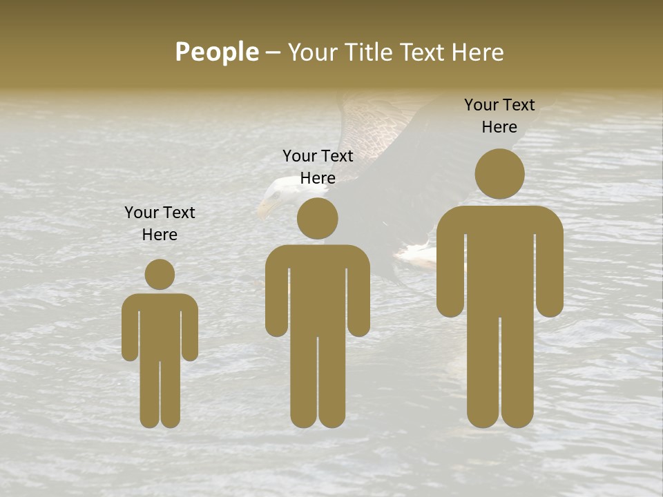 Fishing Bird Fish PowerPoint Template