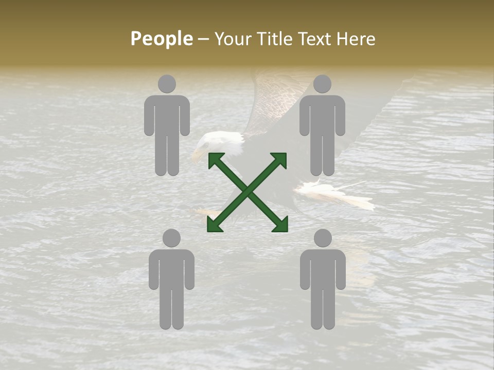 Fishing Bird Fish PowerPoint Template