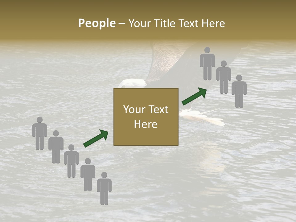 Fishing Bird Fish PowerPoint Template