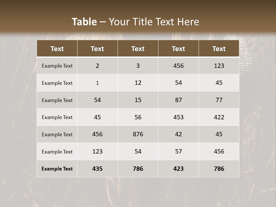 Vogue Glamor Y PowerPoint Template