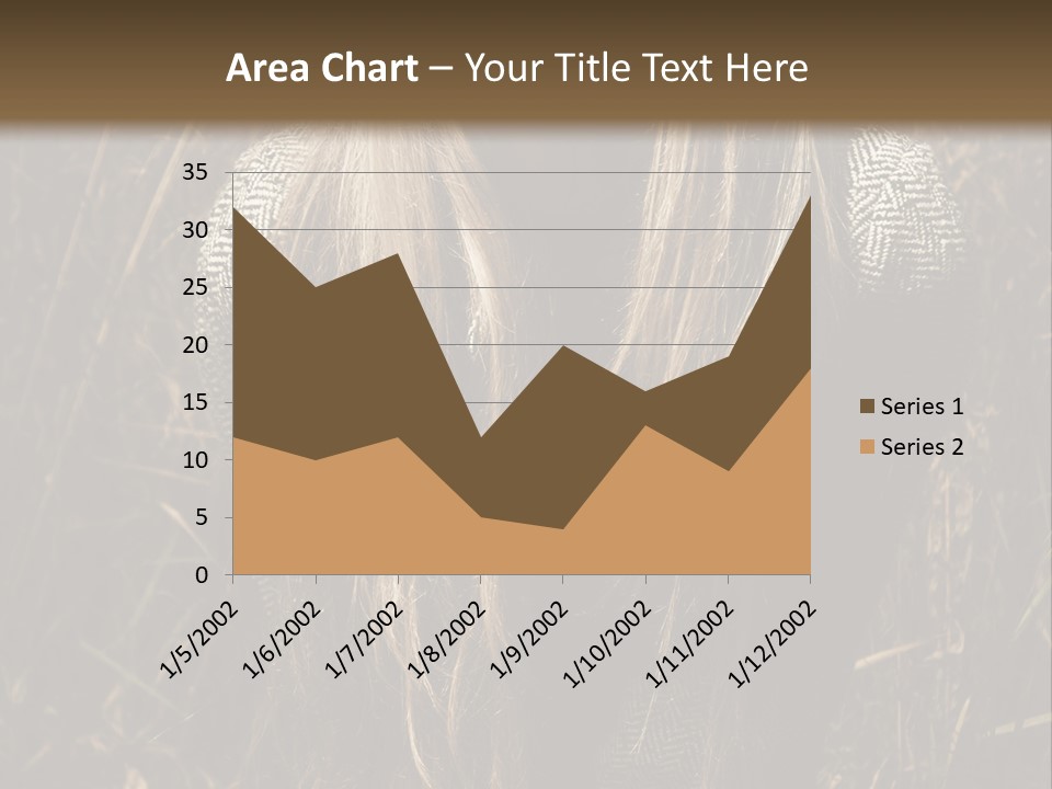 Vogue Glamor Y PowerPoint Template