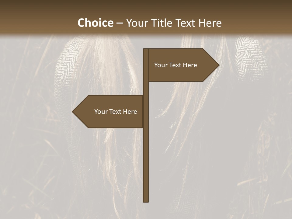 Vogue Glamor Y PowerPoint Template