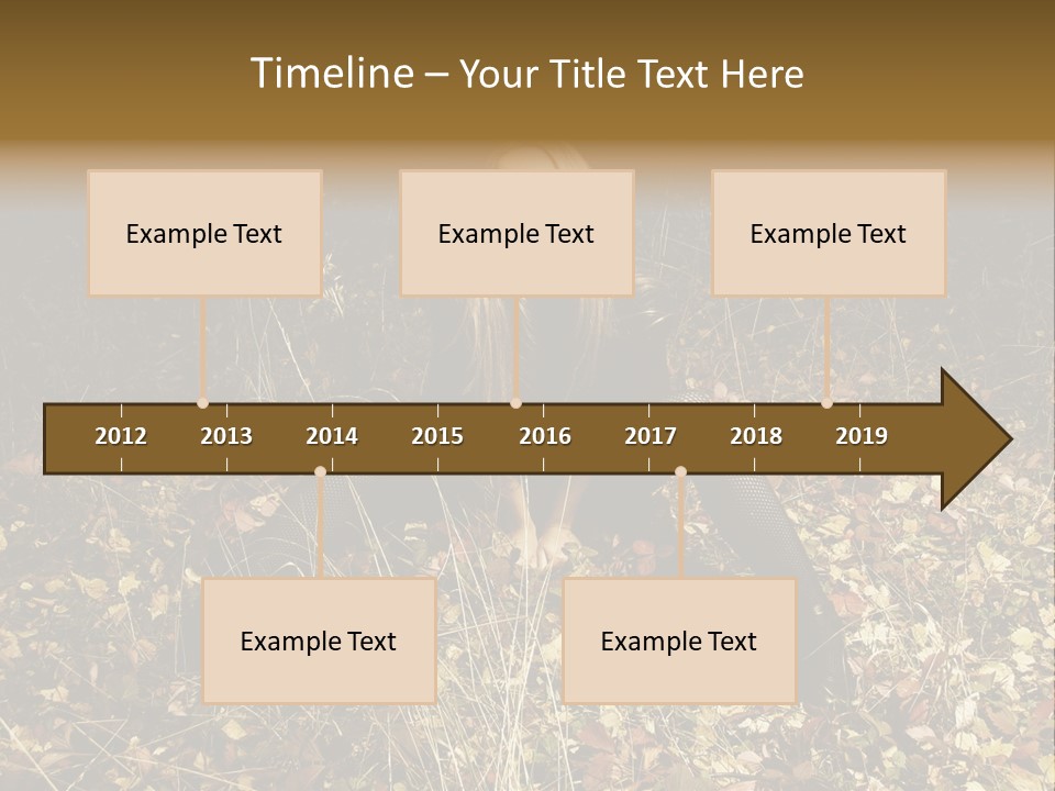 Management Team Bu Ine PowerPoint Template
