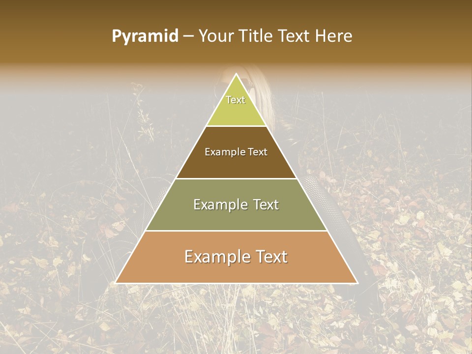 Management Team Bu Ine PowerPoint Template