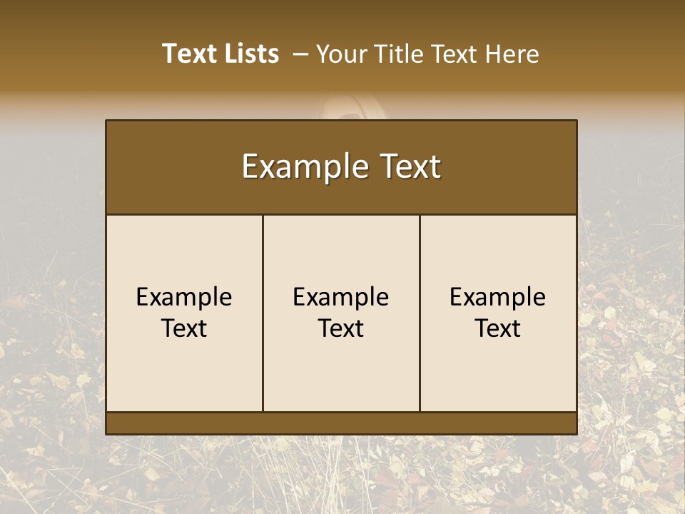 Management Team Bu Ine PowerPoint Template