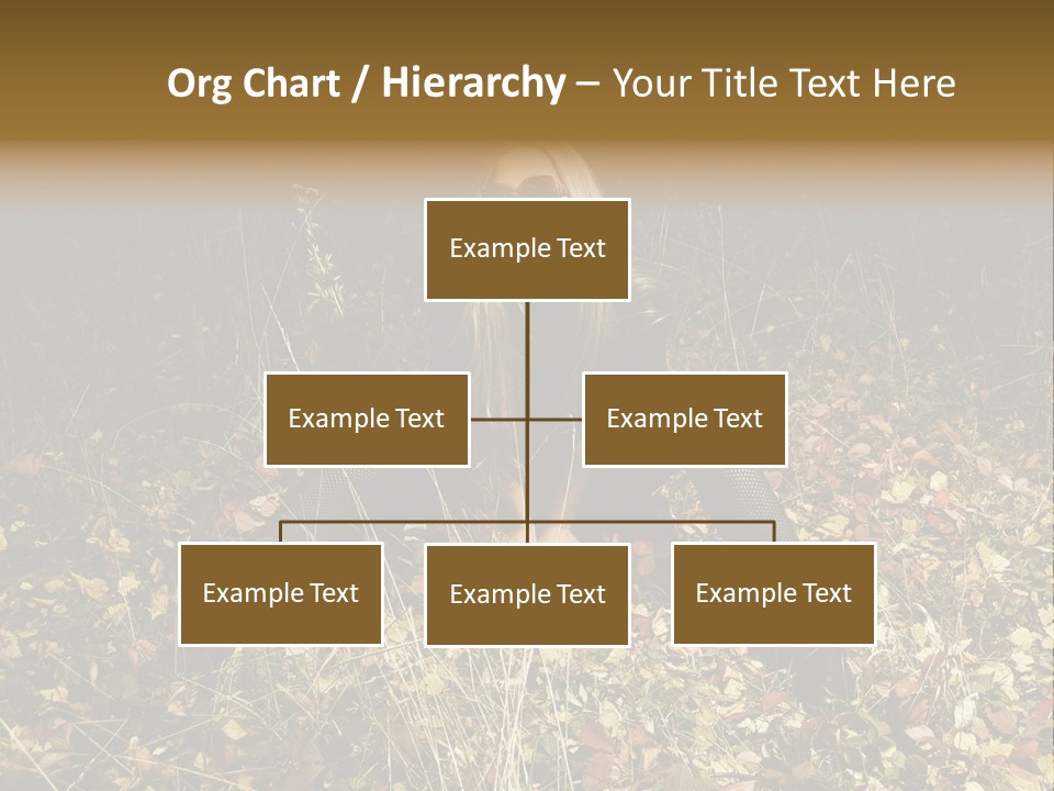 Management Team Bu Ine PowerPoint Template