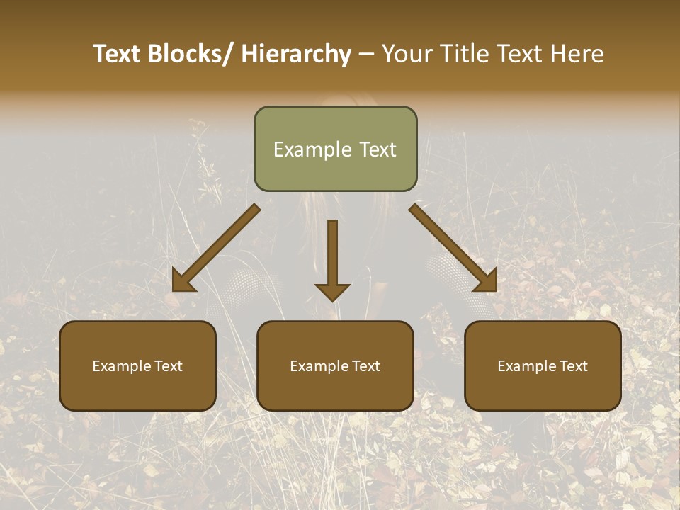 Management Team Bu Ine PowerPoint Template
