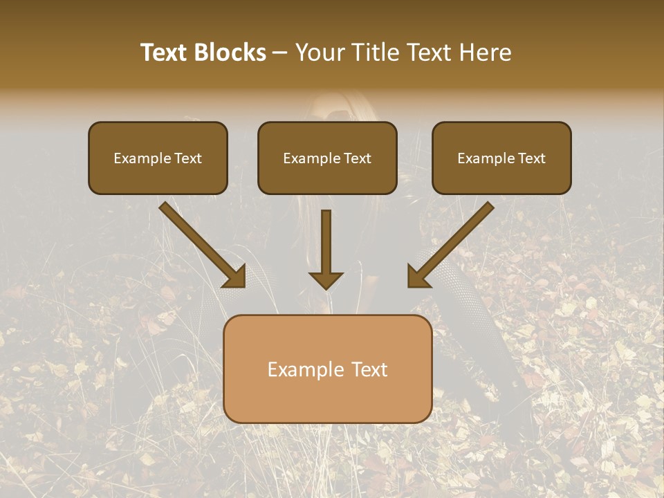 Management Team Bu Ine PowerPoint Template