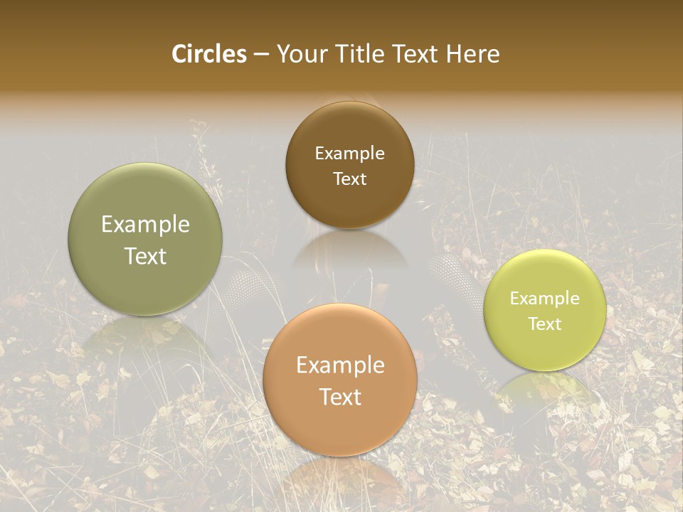 Management Team Bu Ine PowerPoint Template