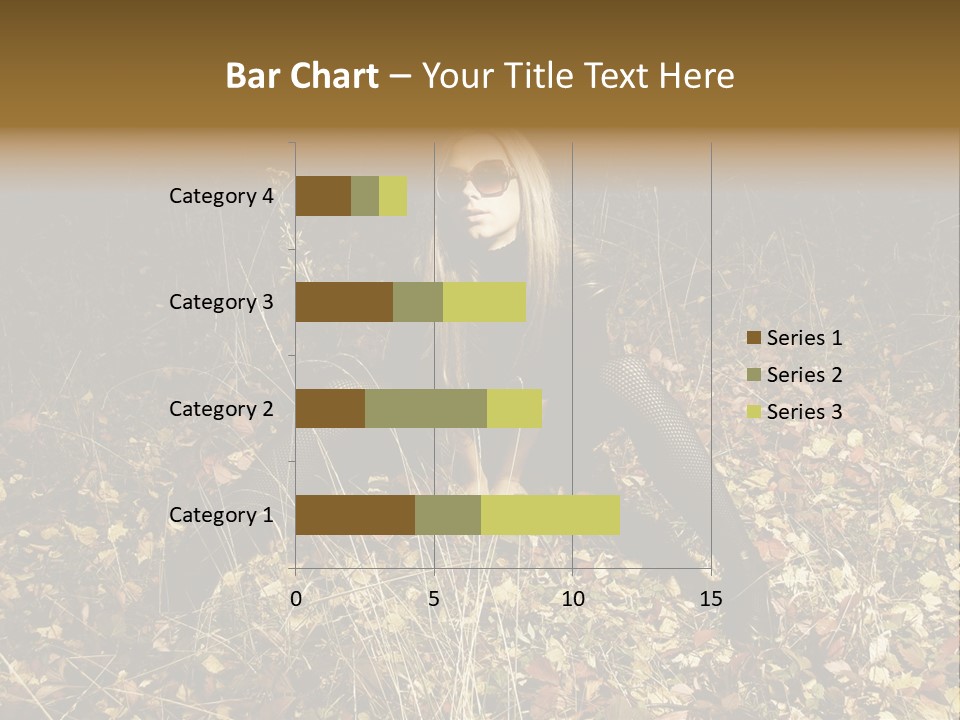 Management Team Bu Ine PowerPoint Template