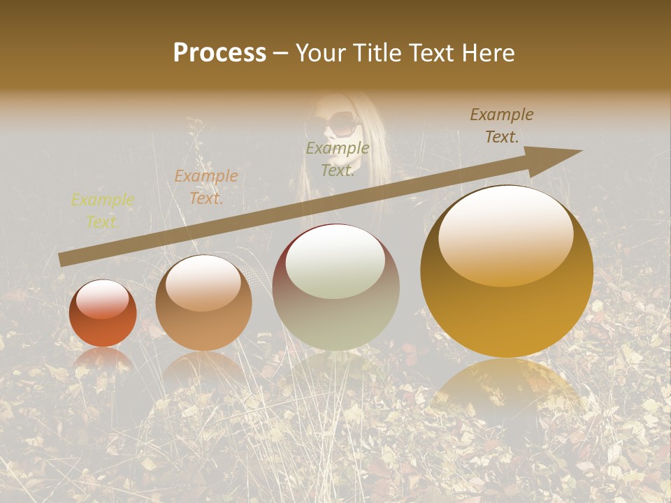 Management Team Bu Ine PowerPoint Template