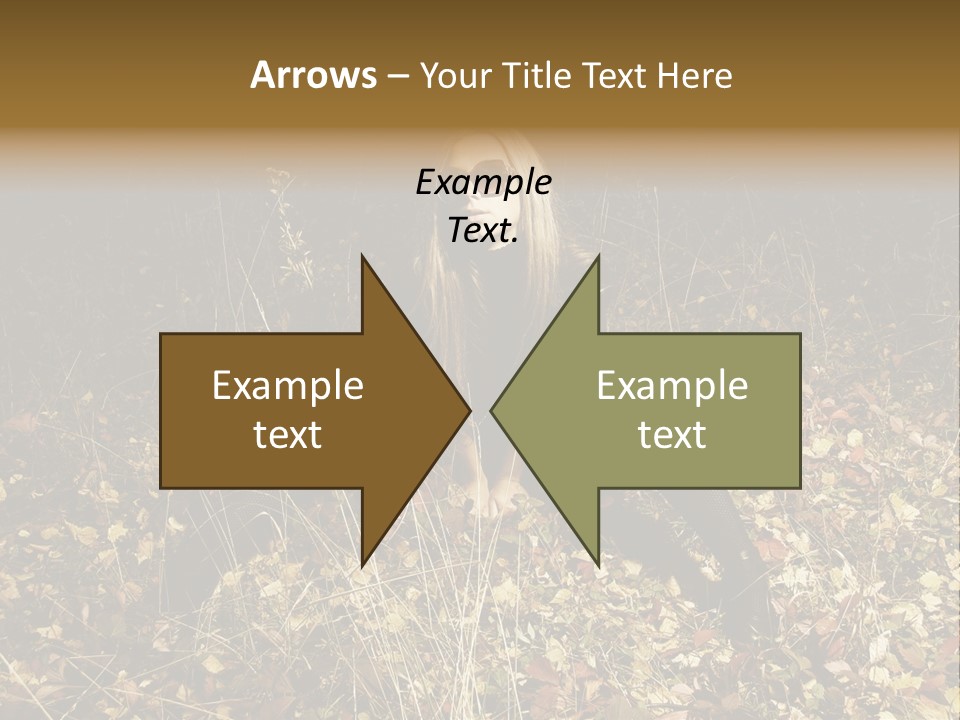 Management Team Bu Ine PowerPoint Template