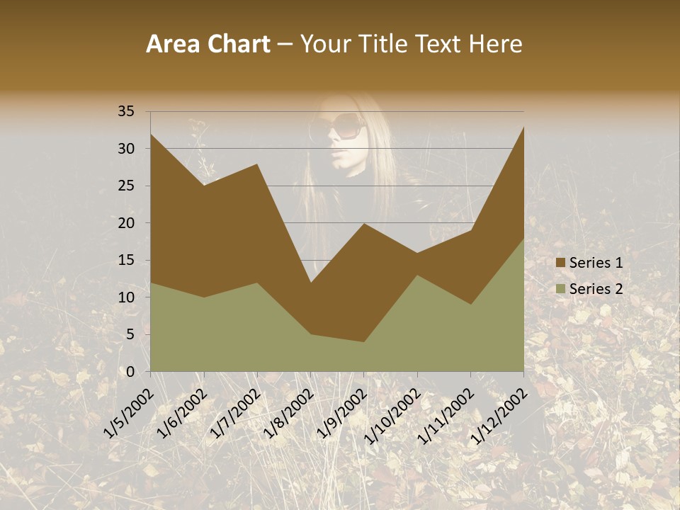 Management Team Bu Ine PowerPoint Template