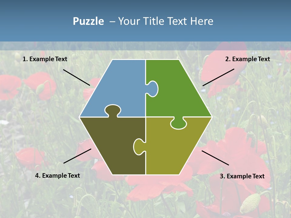 Red Poppies PowerPoint Template