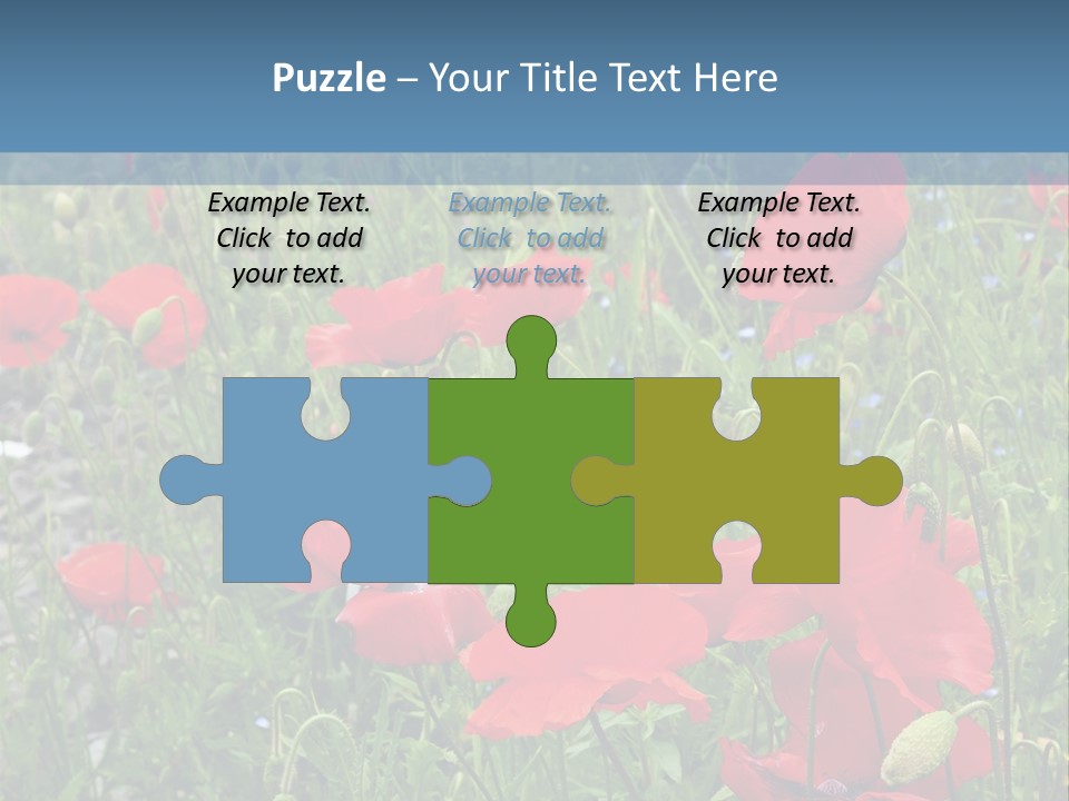 Red Poppies PowerPoint Template