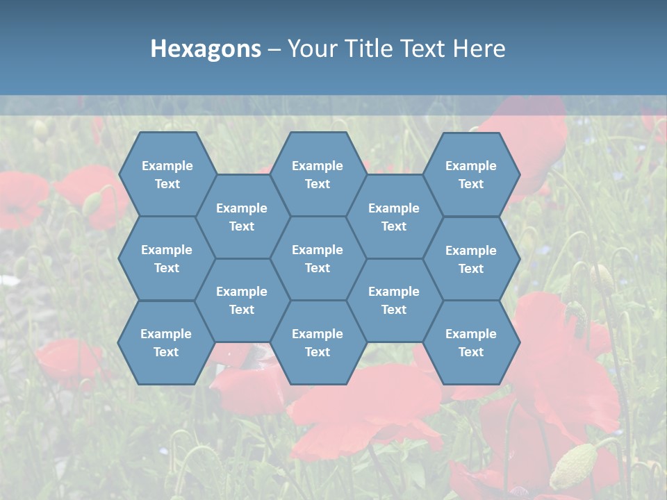 Red Poppies PowerPoint Template